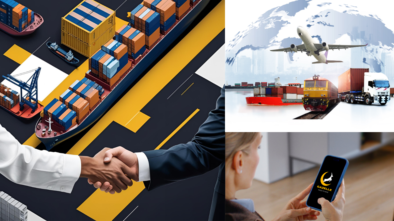 Import & Export